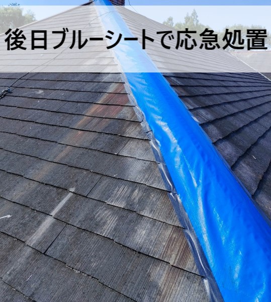 後日ブルーシートで応急処置を行いました　棟板金が剥がれた　台風被害